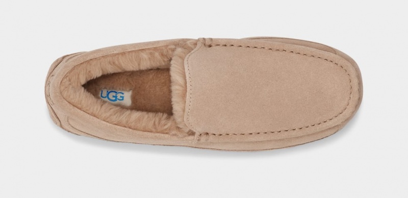 Kapcie Męskie Ugg Ascot Brązowe | JFR-835027