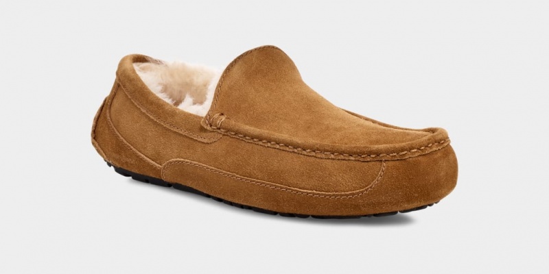 Kapcie Męskie Ugg Ascot Brązowe | ZXO-208195