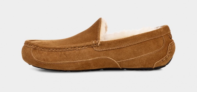 Kapcie Męskie Ugg Ascot Brązowe | ZXO-208195