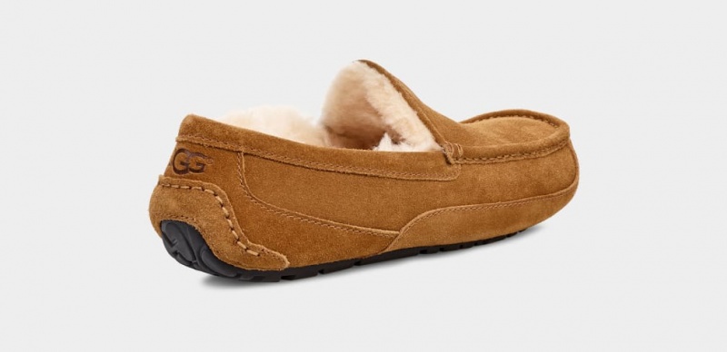 Kapcie Męskie Ugg Ascot Brązowe | ZXO-208195