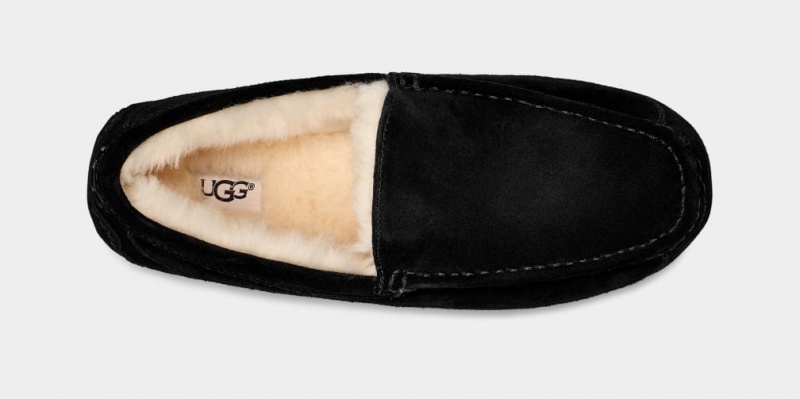 Kapcie Męskie Ugg Ascot Czarne | FSE-320576