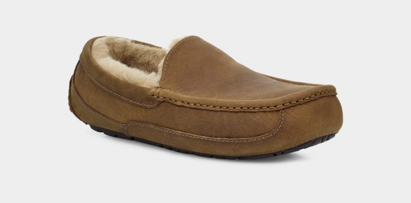 Kapcie Męskie Ugg Ascot Matte Skórzane Brązowe | UTN-810647