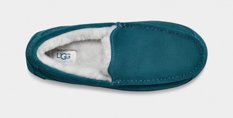 Kapcie Męskie Ugg Ascot Niebieskie | EZI-879254