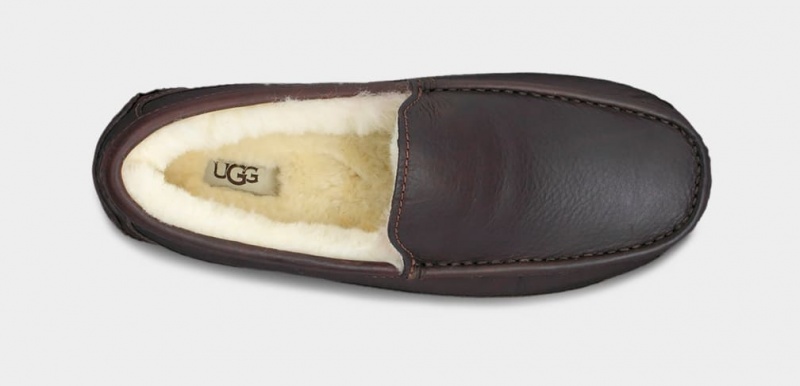 Kapcie Męskie Ugg Ascot Skórzane Ciemny Brązowe | LUN-810934