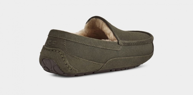 Kapcie Męskie Ugg Ascot Szare | BZS-598346