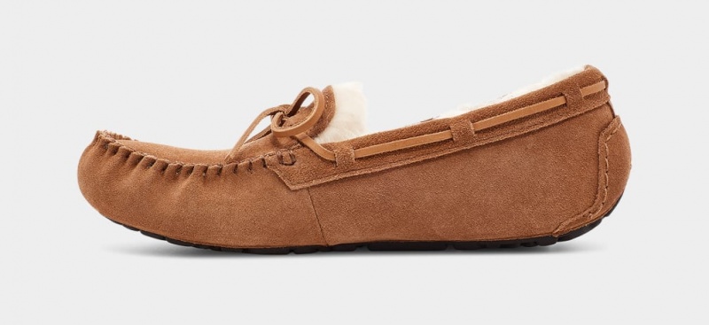 Kapcie Męskie Ugg Olsen Brązowe | YEN-013482