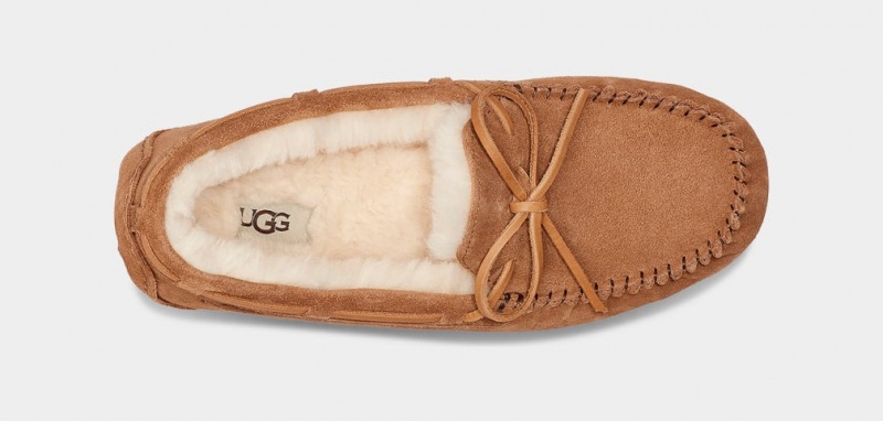 Kapcie Męskie Ugg Olsen Brązowe | YEN-013482