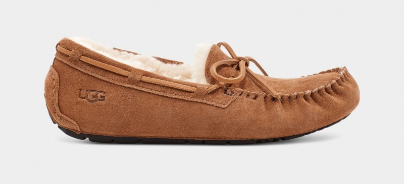 Kapcie Męskie Ugg Olsen Brązowe | YEN-013482