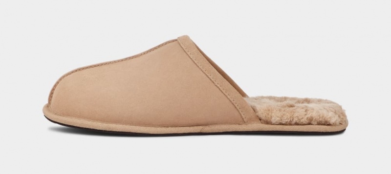 Kapcie Męskie Ugg Scuff Brązowe | BQK-267489