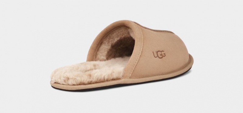 Kapcie Męskie Ugg Scuff Brązowe | BQK-267489