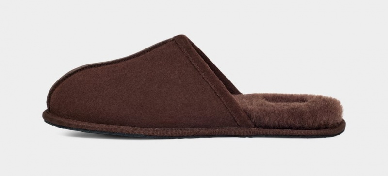 Kapcie Męskie Ugg Scuff Brązowe | BXR-685702