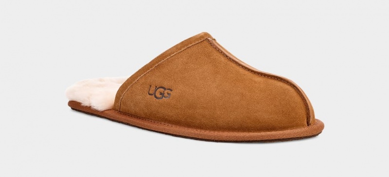 Kapcie Męskie Ugg Scuff Brązowe | EYC-346851