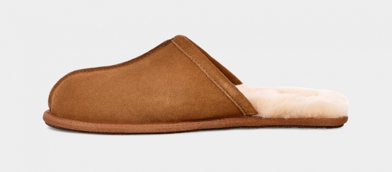 Kapcie Męskie Ugg Scuff Brązowe | EYC-346851