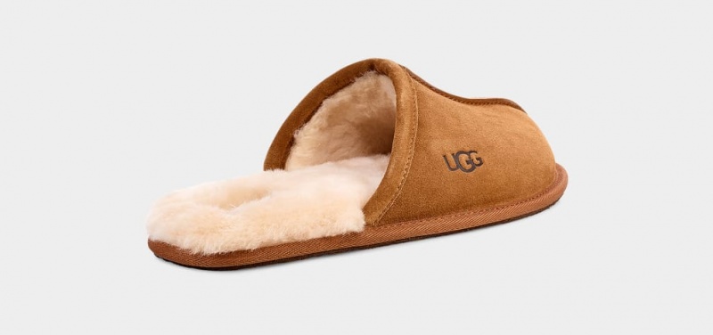 Kapcie Męskie Ugg Scuff Brązowe | EYC-346851