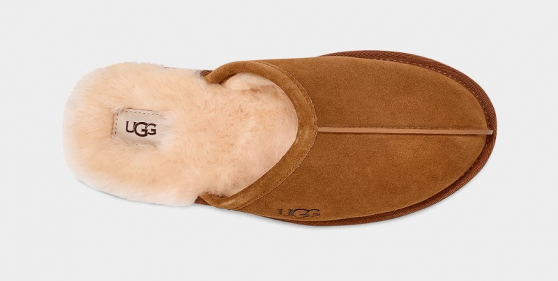 Kapcie Męskie Ugg Scuff Brązowe | EYC-346851