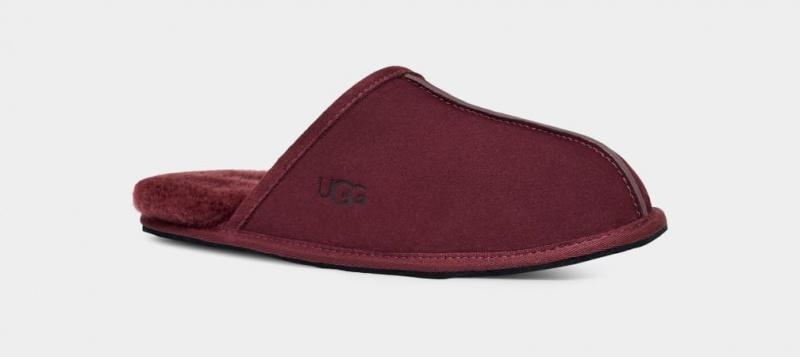 Kapcie Męskie Ugg Scuff Fioletowe | JYF-198760