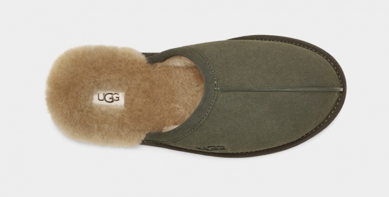 Kapcie Męskie Ugg Scuff Oliwkowe | JEZ-496107