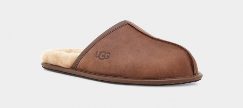 Kapcie Męskie Ugg Scuff Skórzane Brązowe | UYC-450387