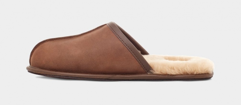 Kapcie Męskie Ugg Scuff Skórzane Brązowe | UYC-450387