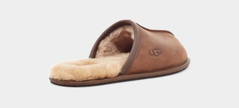 Kapcie Męskie Ugg Scuff Skórzane Brązowe | UYC-450387