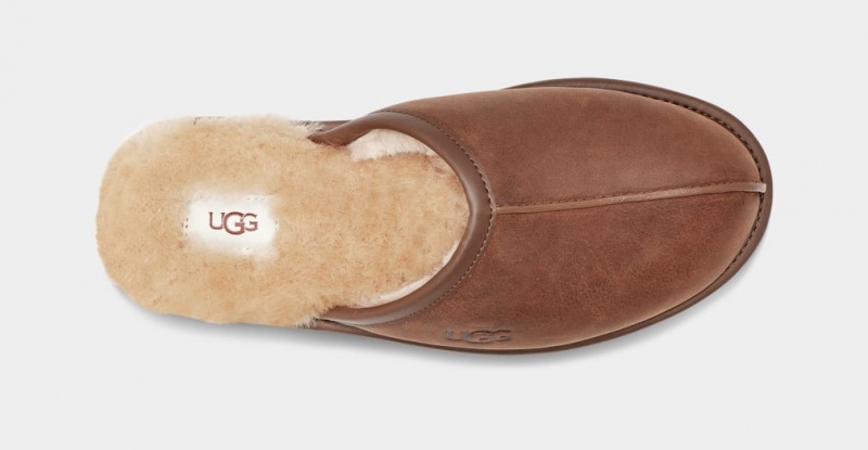 Kapcie Męskie Ugg Scuff Skórzane Brązowe | UYC-450387