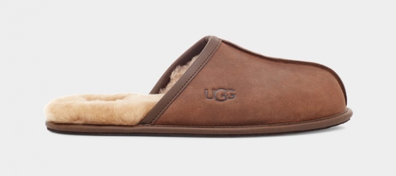 Kapcie Męskie Ugg Scuff Skórzane Brązowe | UYC-450387