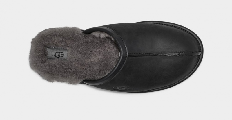 Kapcie Męskie Ugg Scuff Skórzane Czarne | FOP-924087