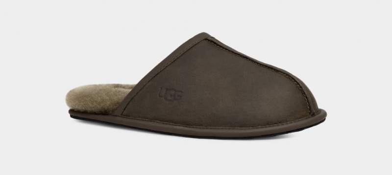 Kapcie Męskie Ugg Scuff Skórzane Oliwkowe | LUC-543926