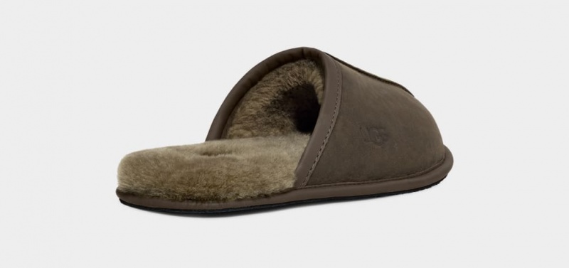 Kapcie Męskie Ugg Scuff Skórzane Oliwkowe | LUC-543926