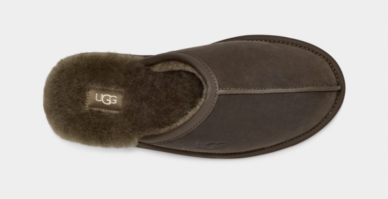 Kapcie Męskie Ugg Scuff Skórzane Oliwkowe | LUC-543926