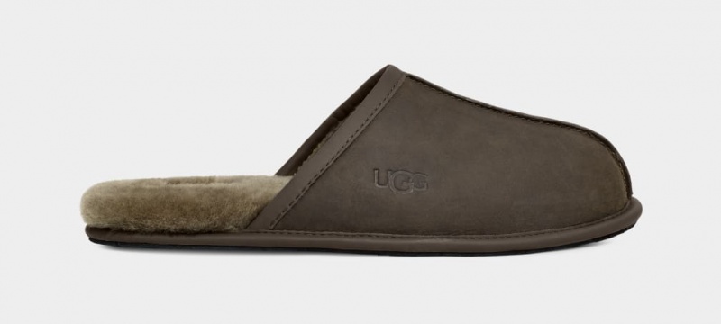 Kapcie Męskie Ugg Scuff Skórzane Oliwkowe | LUC-543926