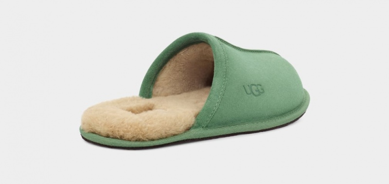 Kapcie Męskie Ugg Scuff Zielone | ERC-192486