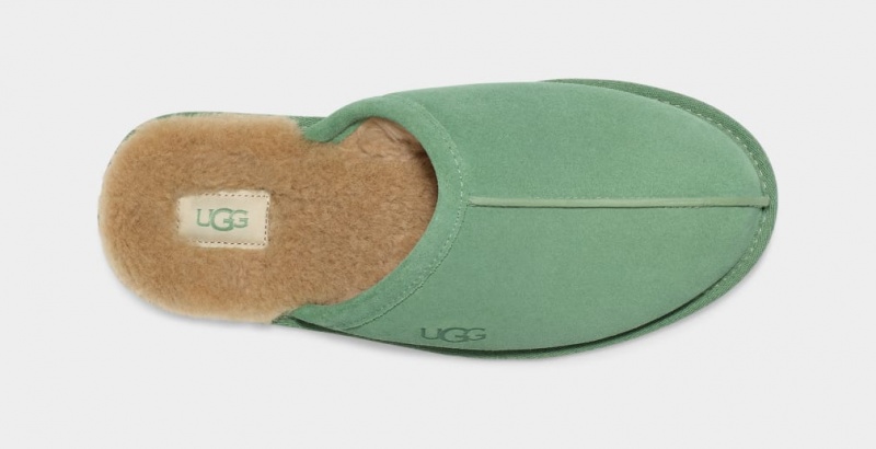 Kapcie Męskie Ugg Scuff Zielone | ERC-192486