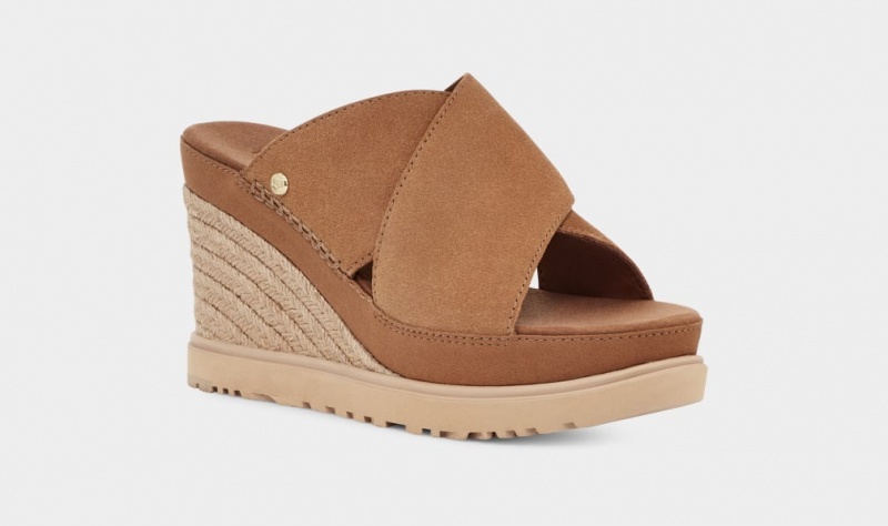 Klapki Damskie Ugg Abbot Brązowe | XRY-712468