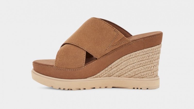 Klapki Damskie Ugg Abbot Brązowe | XRY-712468