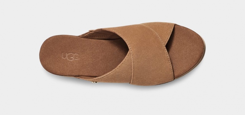 Klapki Damskie Ugg Abbot Brązowe | XRY-712468