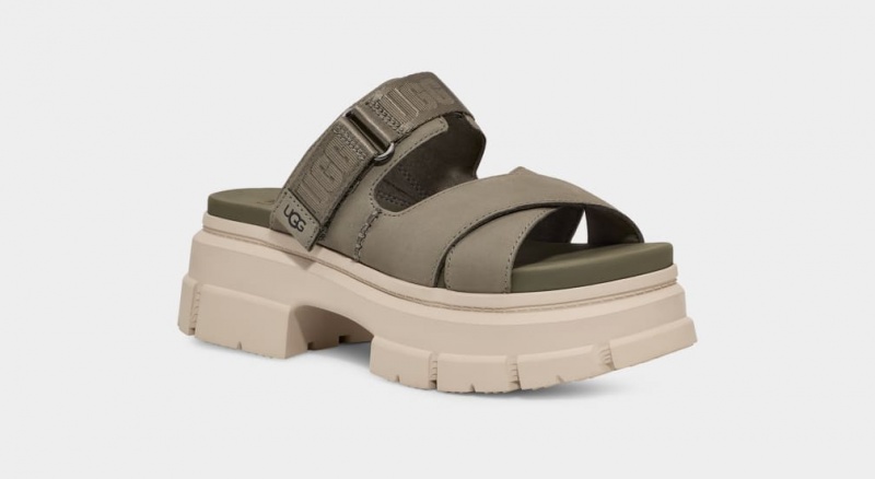 Klapki Damskie Ugg Ashton Zielone | RUM-103572