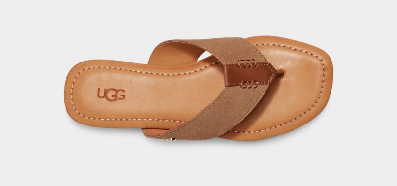 Klapki Damskie Ugg Carey Flip Zamszowe Brązowe | WFB-214573