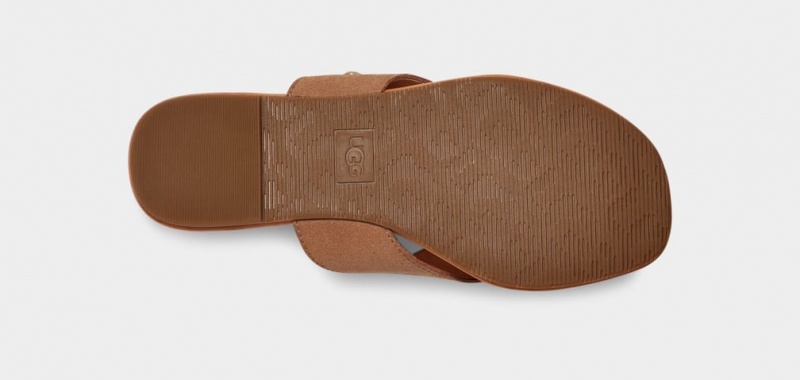 Klapki Damskie Ugg Carey Flip Zamszowe Brązowe | WFB-214573