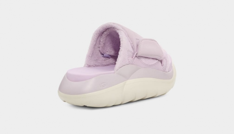 Klapki Damskie Ugg LA Cloud Lawenda | OLR-214038