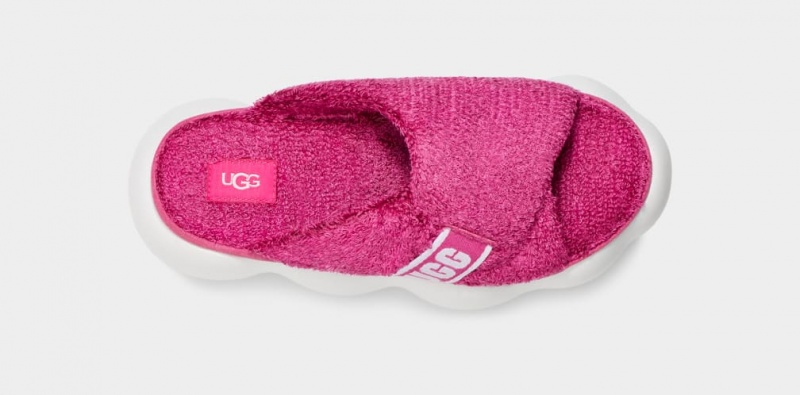 Klapki Damskie Ugg Sugarcloud Różowe | GFH-678205