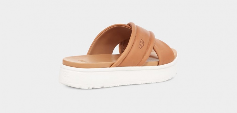 Klapki Damskie Ugg Zayne Crossband Brązowe | WNZ-015389