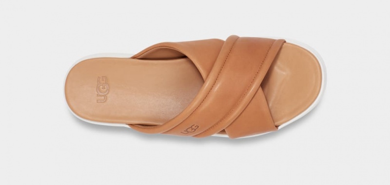 Klapki Damskie Ugg Zayne Crossband Brązowe | WNZ-015389