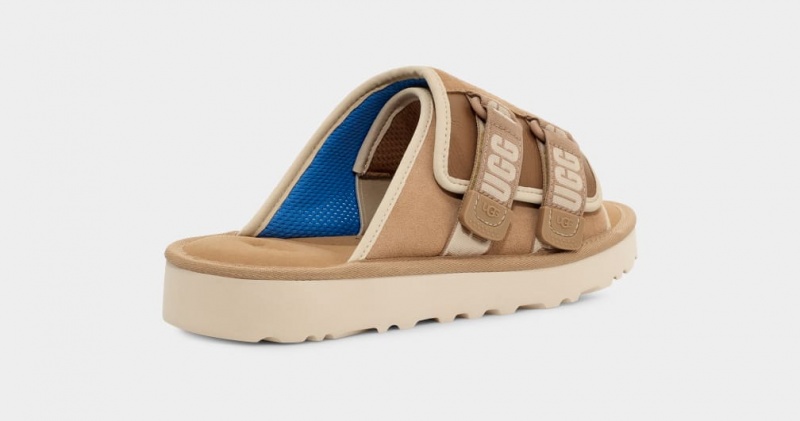 Klapki Męskie Ugg Goldencoast Paskiem Brązowe | KOM-271468