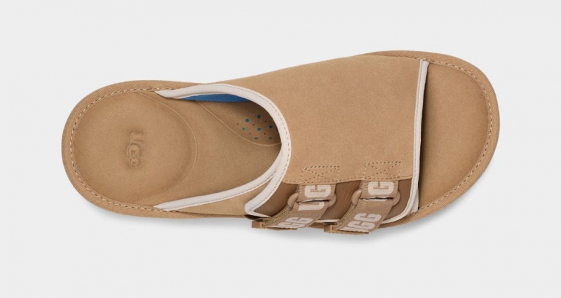 Klapki Męskie Ugg Goldencoast Paskiem Brązowe | KOM-271468