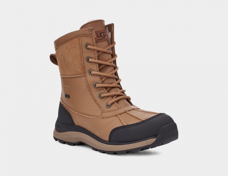 Kozaki Damskie Ugg Adirondack III Hiker Brązowe | EVD-586902