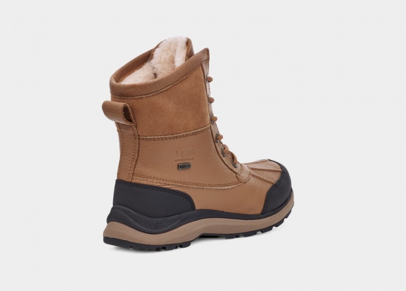 Kozaki Damskie Ugg Adirondack III Hiker Brązowe | EVD-586902