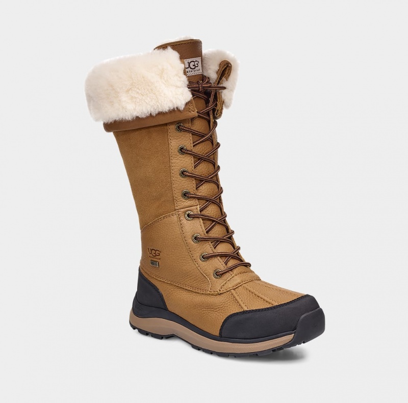 Kozaki Damskie Ugg Adirondack III Wysokie Brązowe | RAG-857129