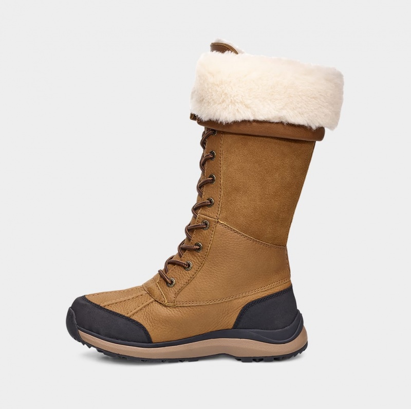 Kozaki Damskie Ugg Adirondack III Wysokie Brązowe | RAG-857129