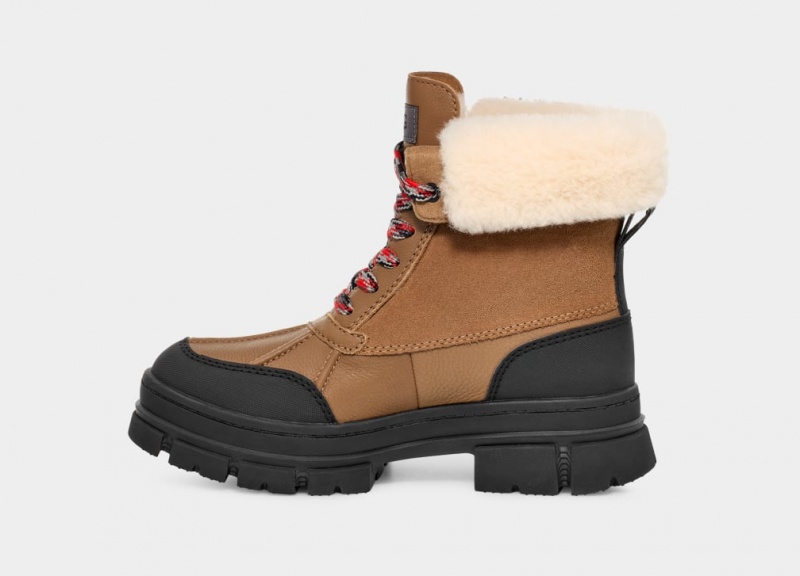 Kozaki Damskie Ugg Ashton Addie Brązowe | BVR-568419